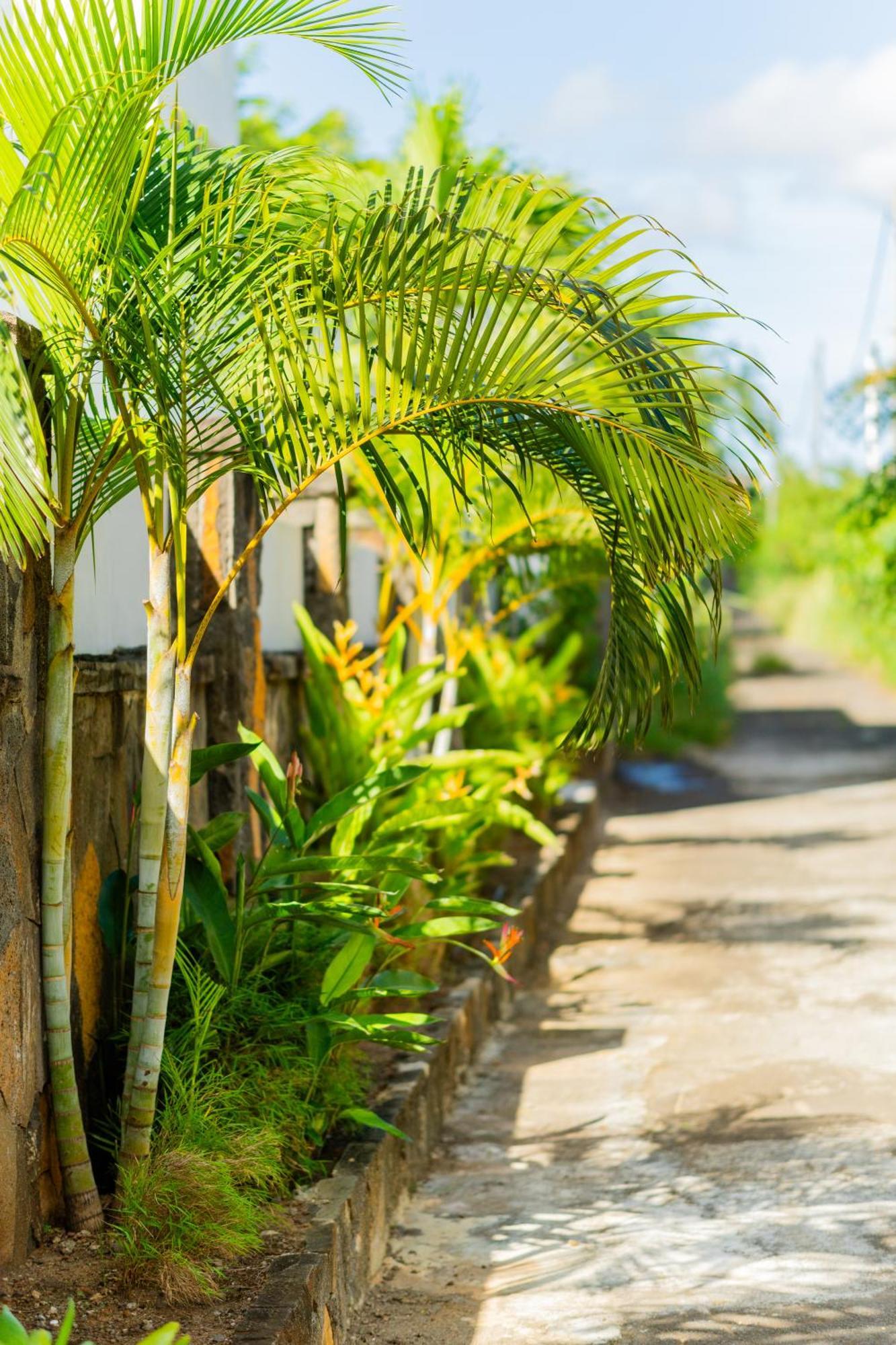 Palm Biche Residence Trou aux Biches Ngoại thất bức ảnh